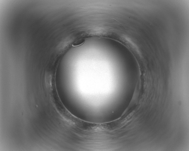 X0000065950115200603101406