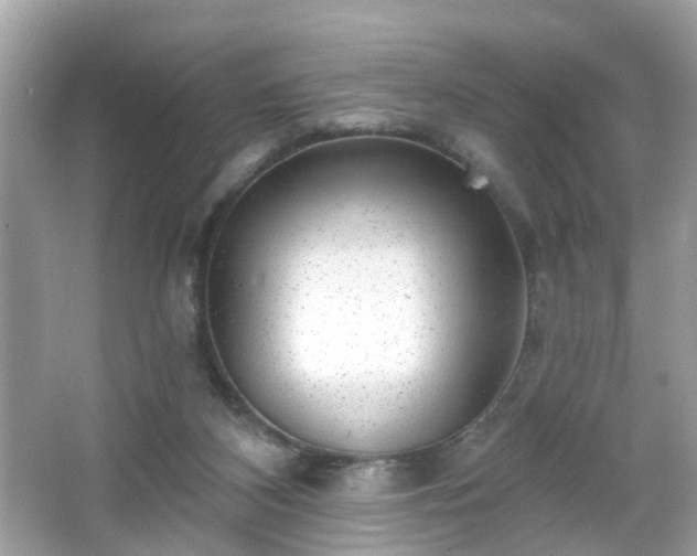 X0000065950116200603101406
