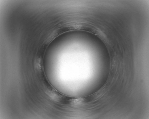 X0000065950122200603101406