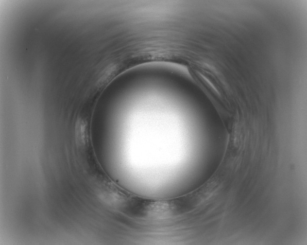 X0000065950123200603101406