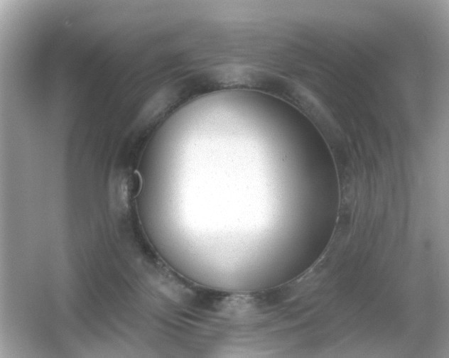 X0000065950124200603101406