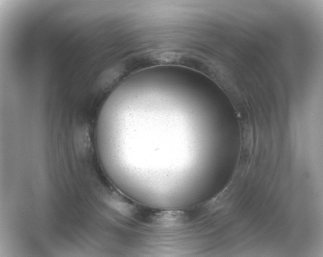 X0000065950128200603101406