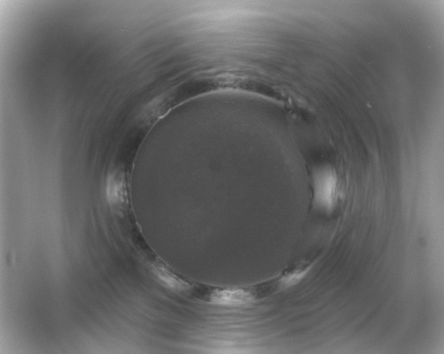 X0000065950137200603101406