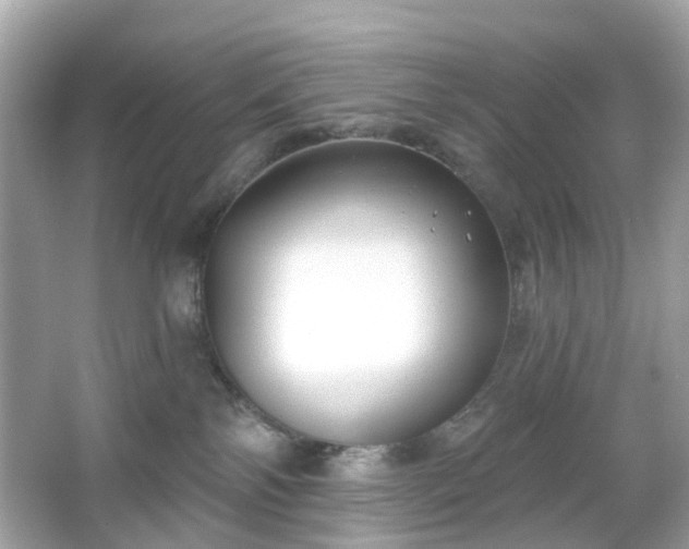 X0000065950138200603101406