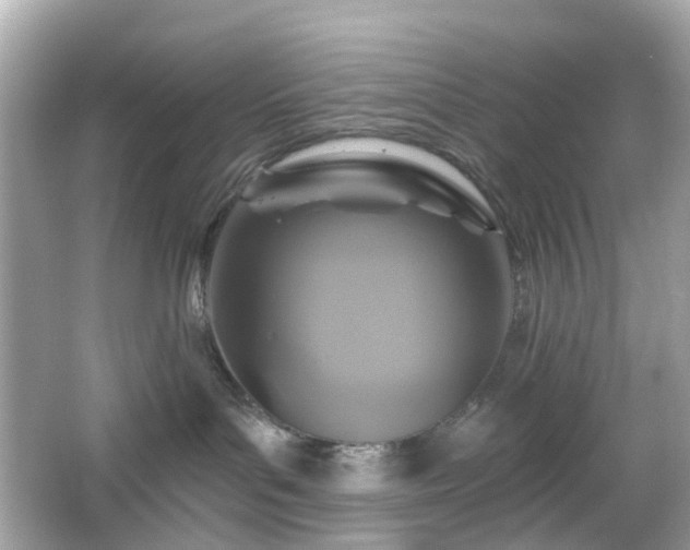 X0000065950143200603101406