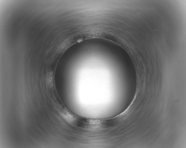 X0000065950144200603101406