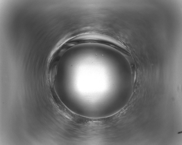 X0000065950150200603101405