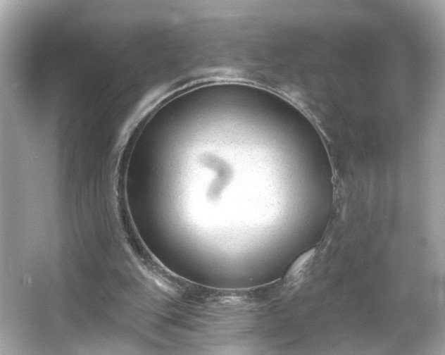 X0000065950151200603101405