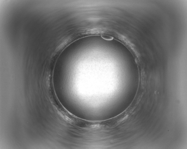 X0000065950153200603101405