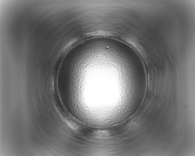 X0000065950157200603101405