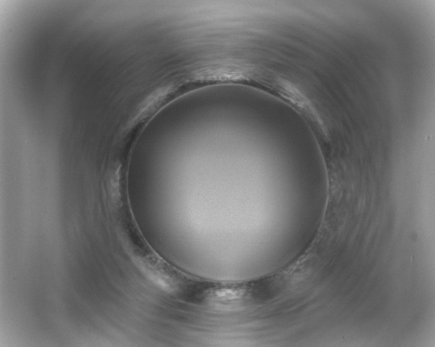 X0000065950163200603101405