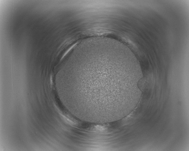 X0000065950166200603101405