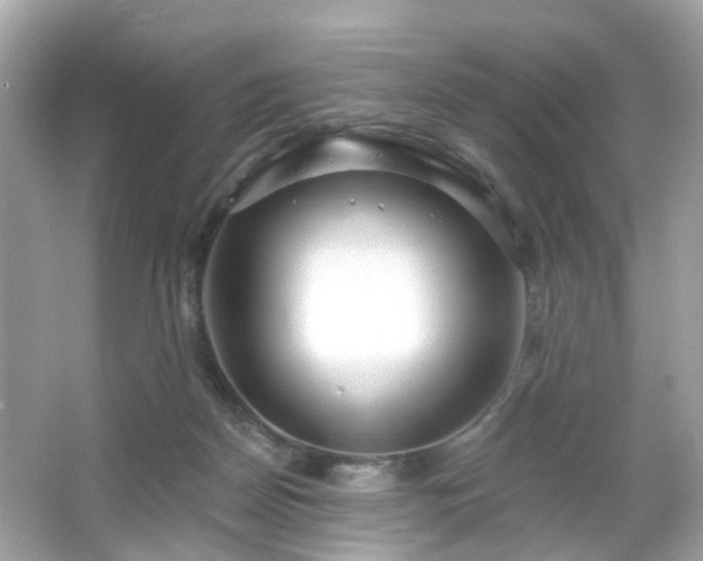 X0000065950170200603101405