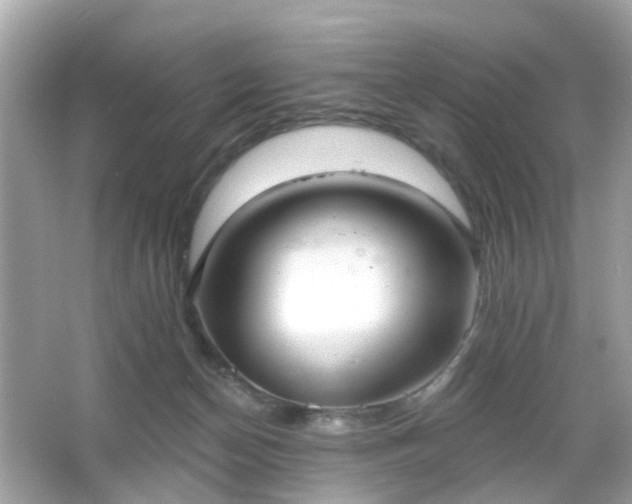 X0000065950174200603101405
