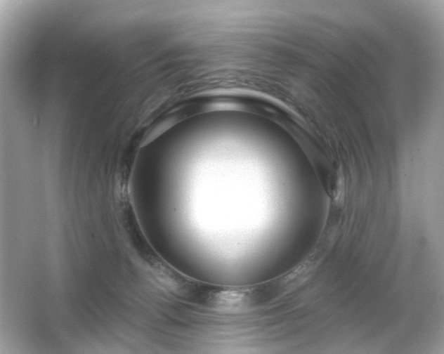 X0000065950176200603101405