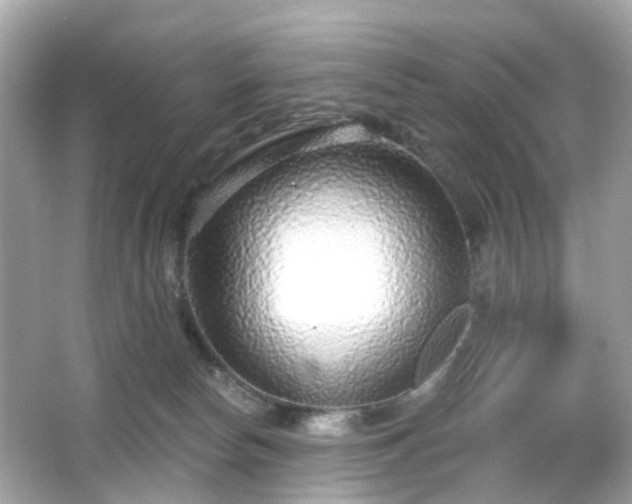 X0000065950178200603101405