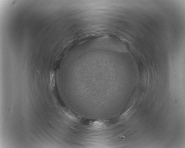 X0000065950180200603101405