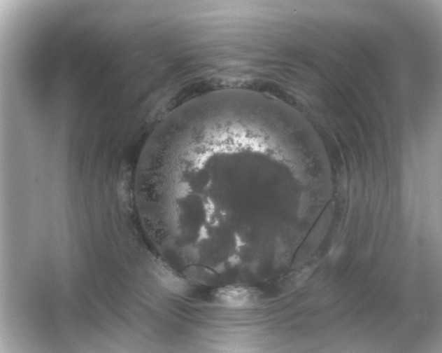 X0000065950181200603101405