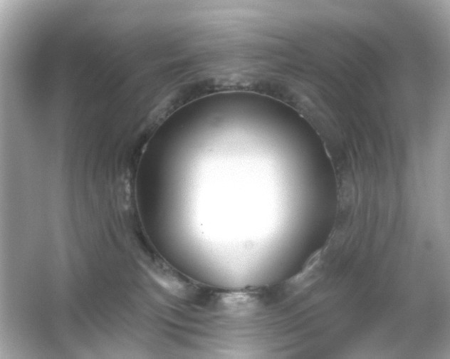 X0000065950183200603101406