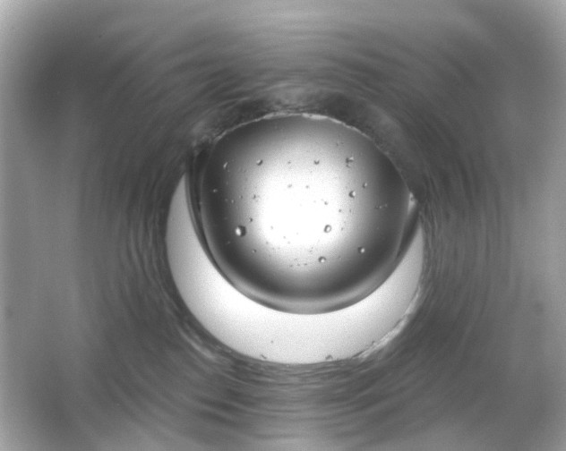 X0000065950186200603101406