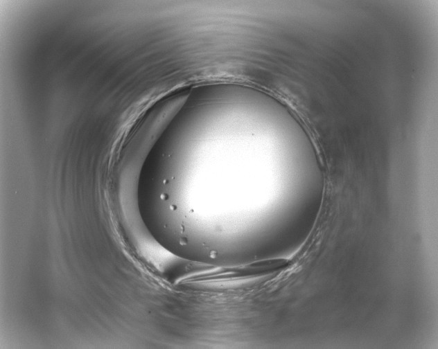 X0000065950193200603101405