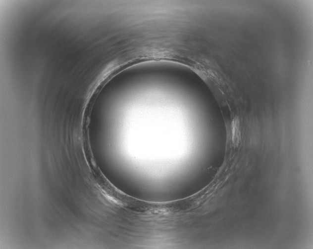 X0000065950195200603101405
