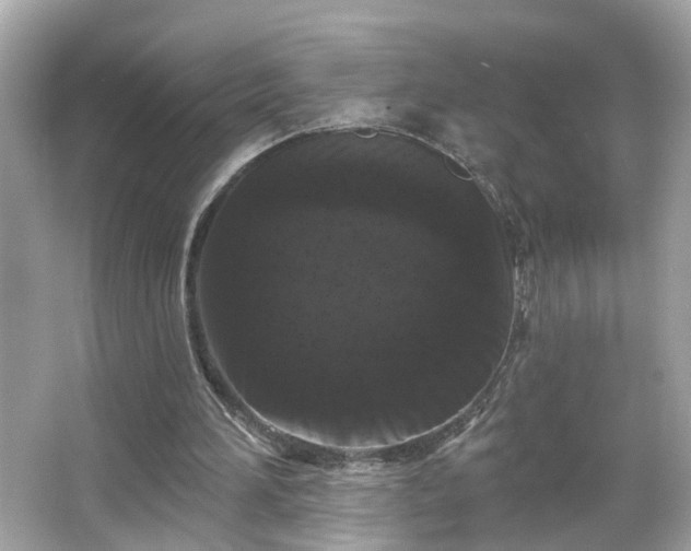 X0000065950196200603101405