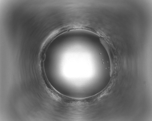 X0000065950197200603101405