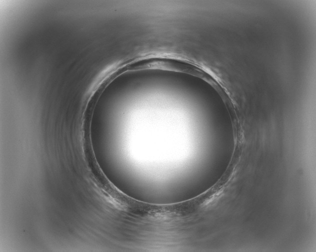 X0000065950199200603101405