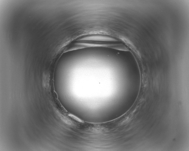X0000065950201200603101405