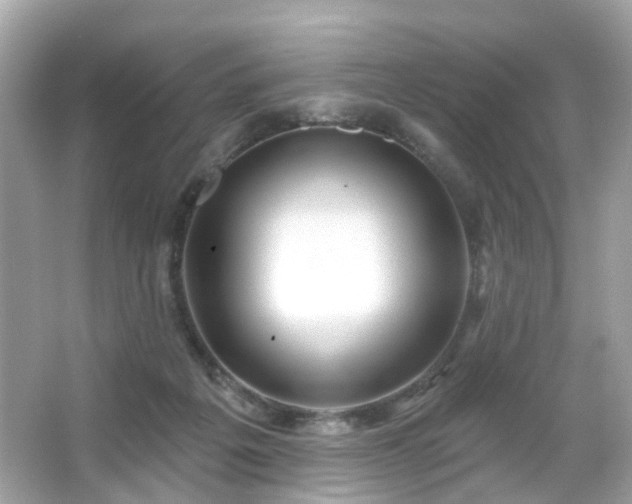 X0000065950217200603101404