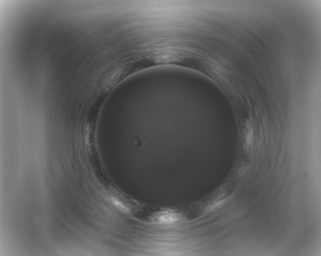 X0000065950219200603101404
