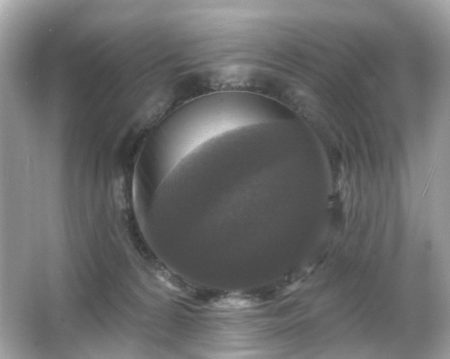 X0000065950224200603101404