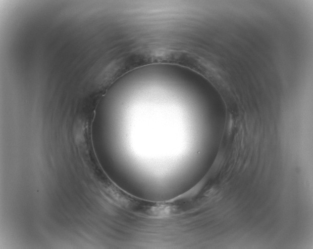 X0000065950225200603101404