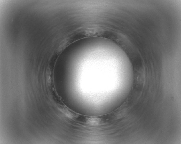 X0000065950226200603101404