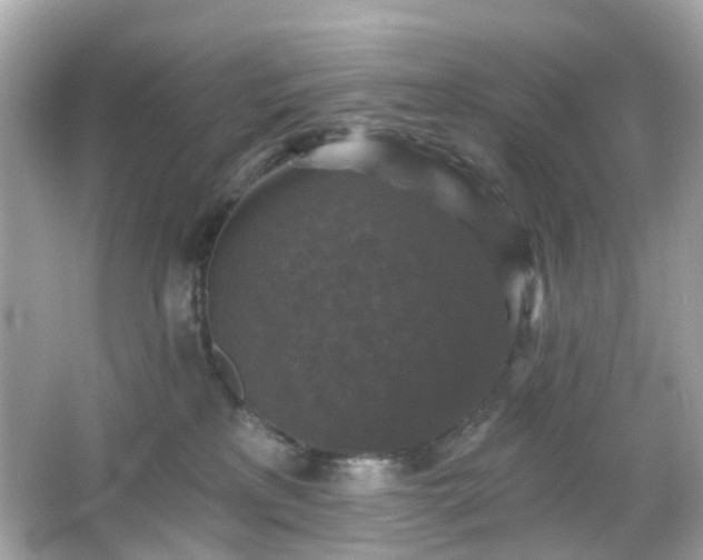 X0000065950233200603101404