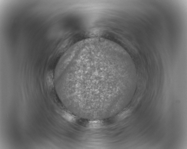 X0000065950240200603101404