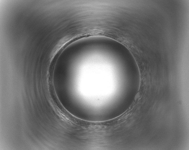 X0000065950242200603101403