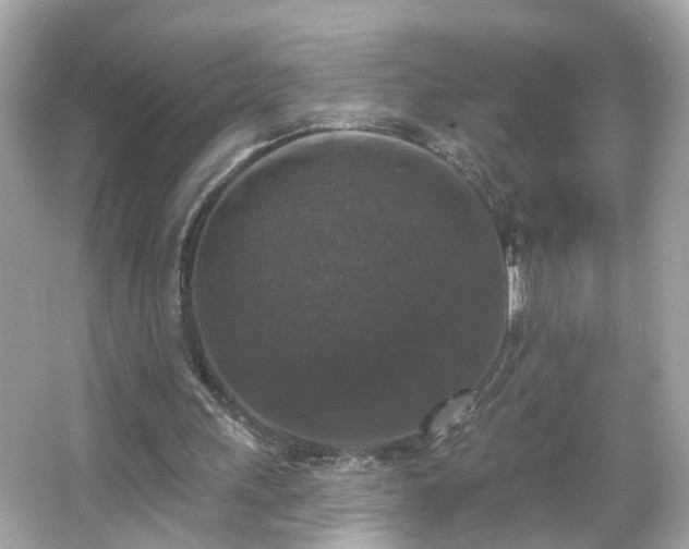 X0000065950243200603101403