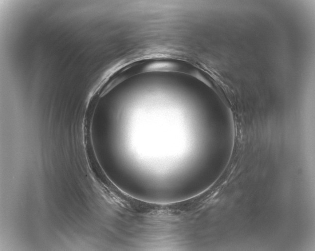 X0000065950244200603101403