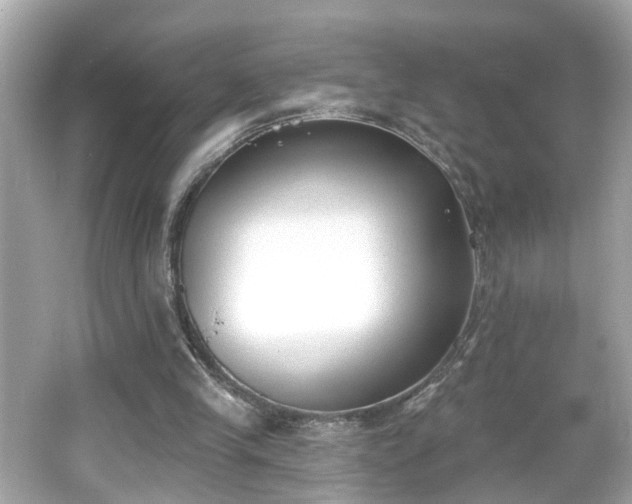 X0000065950245200603101403