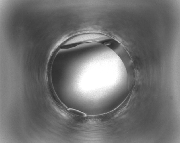 X0000065950248200603101403
