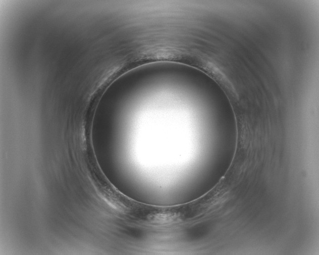 X0000065950251200603101403