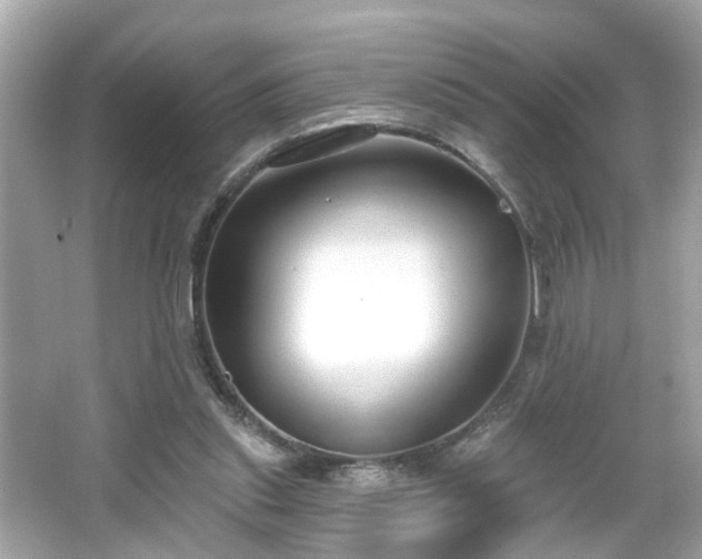 X0000065950253200603101403