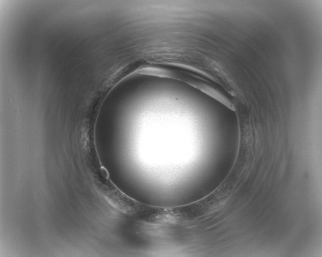 X0000065950259200603101404