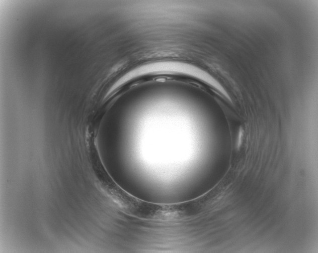 X0000065950260200603101404