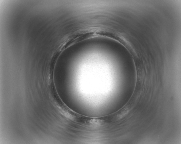 X0000065950261200603101404