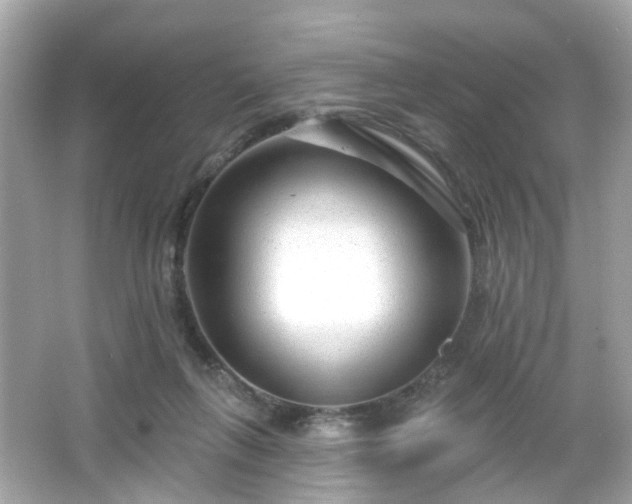 X0000065950263200603101404