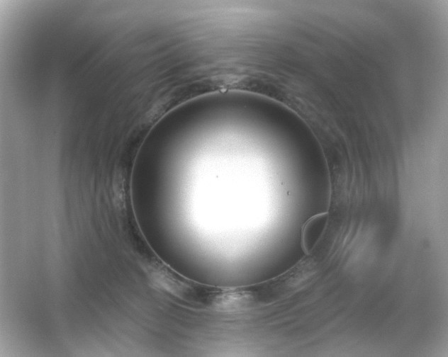X0000065950274200603101404