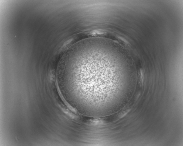 X0000065950284200603101404